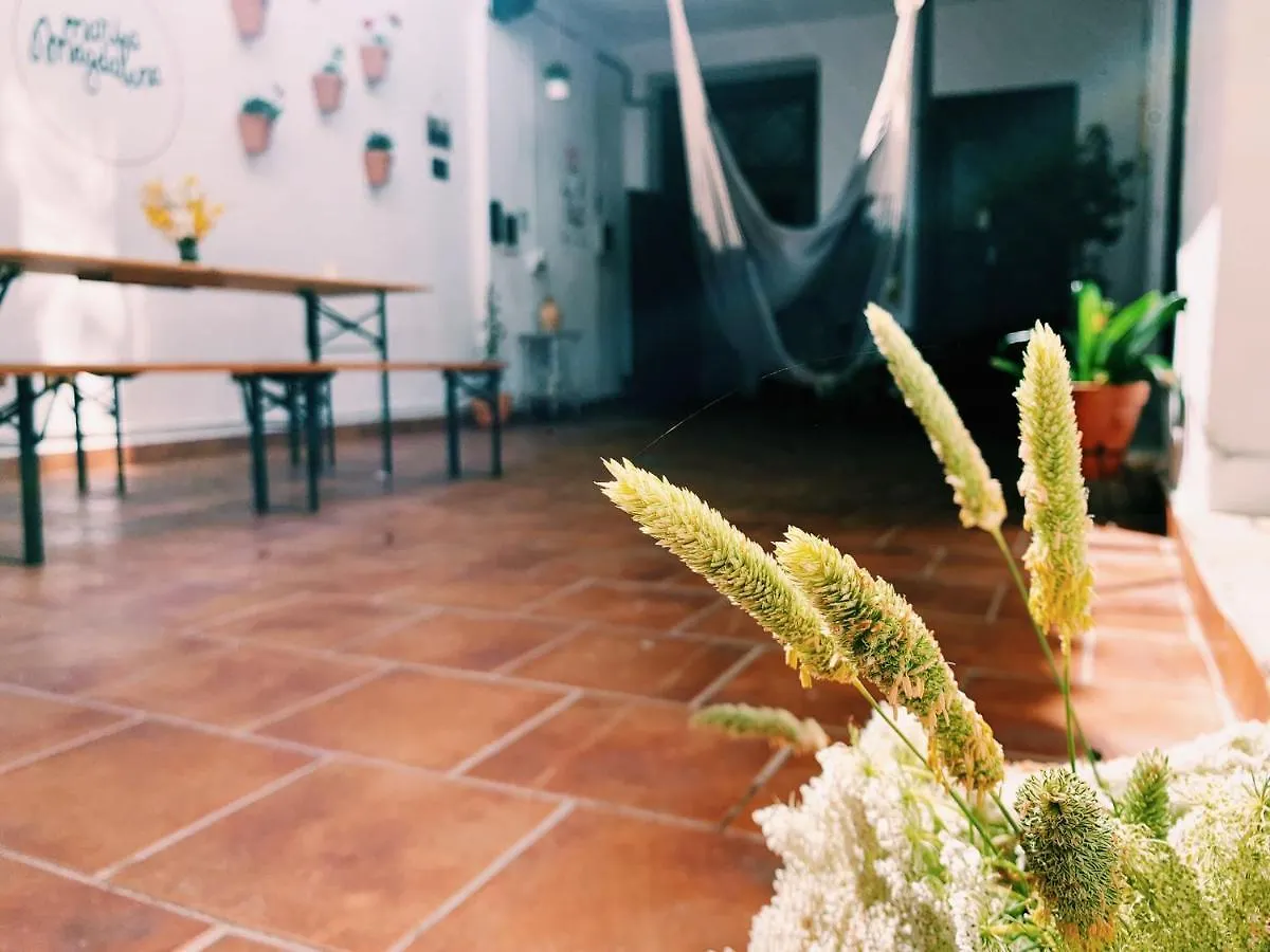 Homestay Maria Magdalena - Room 3 Malaga Spain